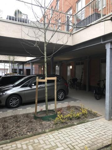Benb Op De Trans, Arnhem Op Zijn Best! Bagian luar foto